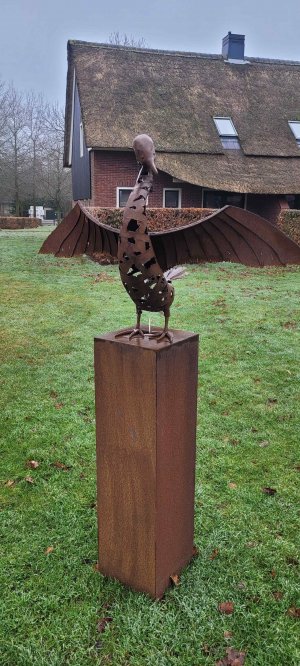 最新館藏 > Aalscholver kopen?