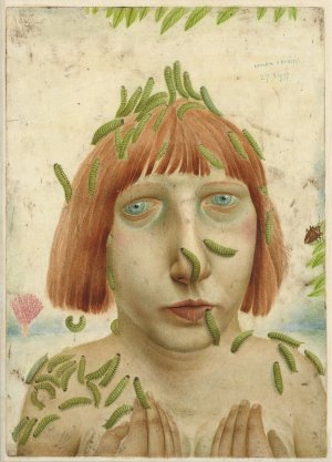 最新館藏 > Anneke van Brussel/ kop met rupsen kopen?