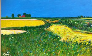 Dirk Beintema > Bij de Vijfhuisterweg  kopen?