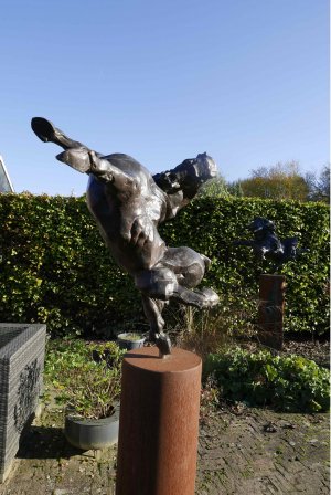 Erik  Kierkels > Jumper kopen?