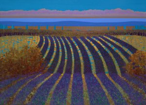 最新館藏 > La Terre du Sud kopen?