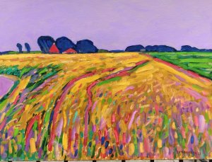 Dirk Beintema > Landschap bij Finkum  kopen?