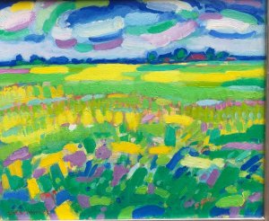 Dirk Beintema > Landschap bij Waakens kopen?