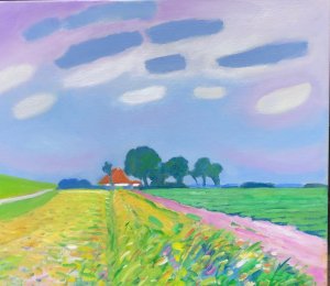 Dirk Beintema > Landschap bij de Waddenzeedijk kopen?