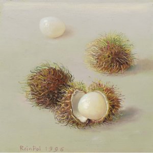 最新館藏 > Ramboetan kopen?