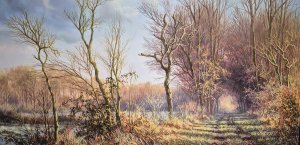 Voorzichtig begin van de winter