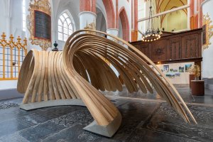 Hans Rikken > Weet de zon van de schaduw kopen?