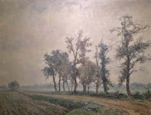 Evert Musch > Weg over de zuides van Westerbork  kopen?