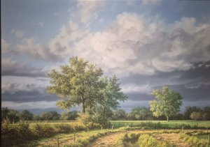 最新館藏 > Zijerveld kopen?