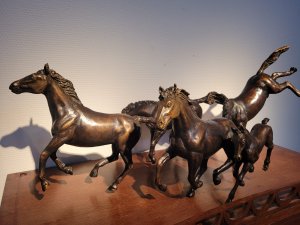 J. en M. Bremers > Diletto, 5 paarden (1 veulen) kopen?