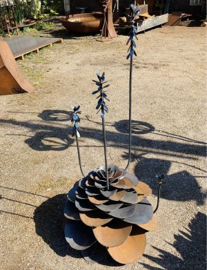 Kim Kenyon > Flowering Succulent 2022 kopen?