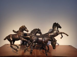 J. en M. Bremers > Gratias, 5 paarden (1 veulen, 1 jaarling) kopen?