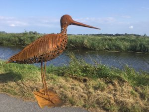 Peter Scheedler > Grutto kopen?