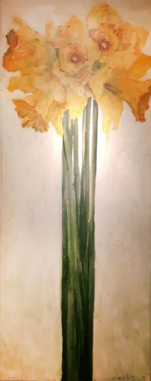 Narcissen