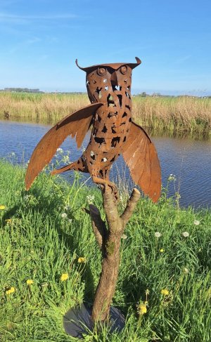 Peter Scheedler > Uil op stam kopen?